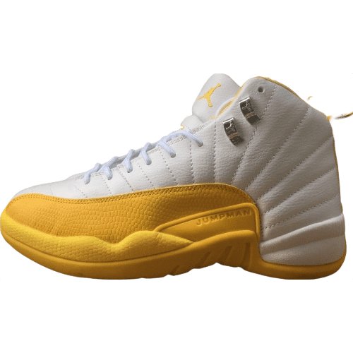 JORDAN 12 RETRO x RAY ALLEN SONICS PE